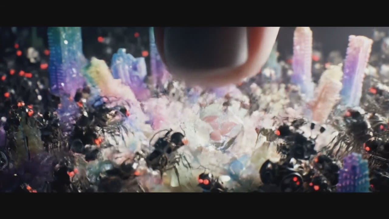 Ant colony